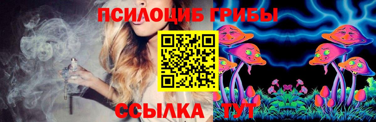 Галлюциногенные грибы MAGIC MUSHROOMS  Вход с VPN  Соль-Илецк 