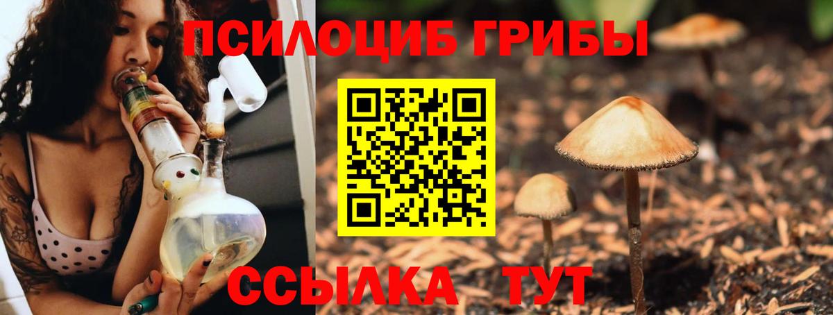 Галлюциногенные грибы Psilocybine cubensis Соль-Илецк